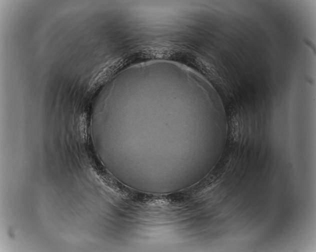 X0000100760594200807101729