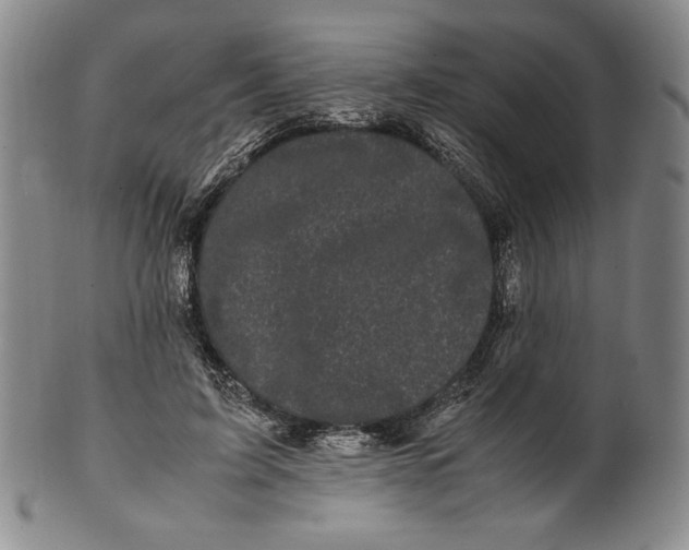 X0000100760595200807101729