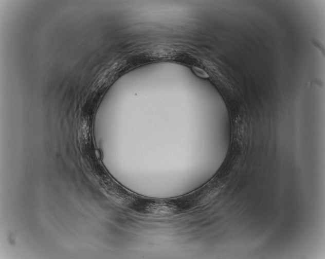 X0000100760597200807101729