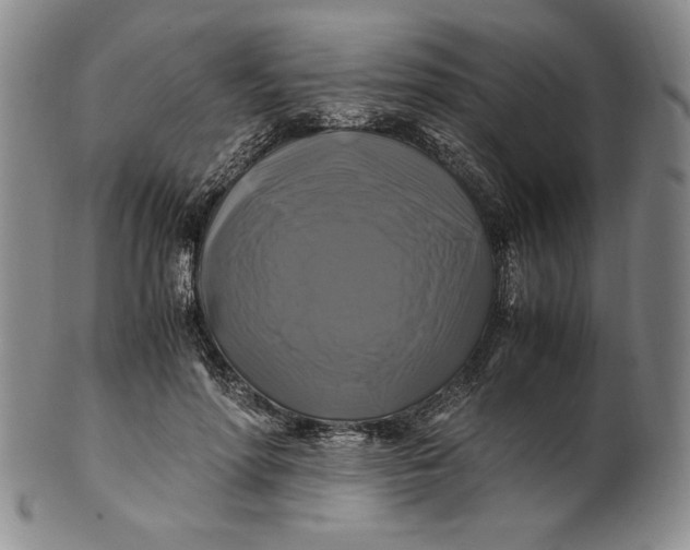 X0000100760598200807101729