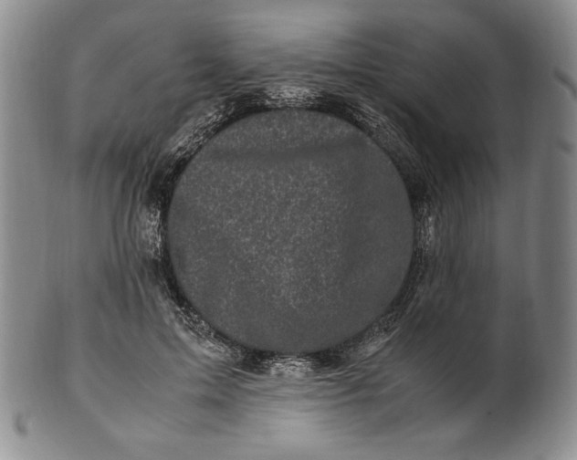 X0000100760599200807101729