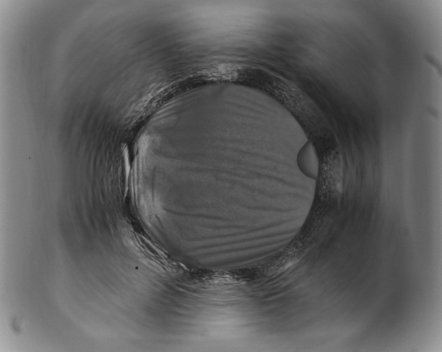 X0000100760600200807101729
