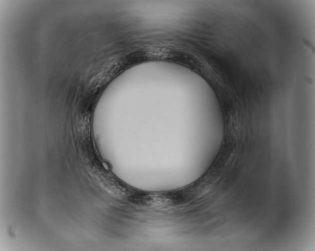 X0000100760601200807101729