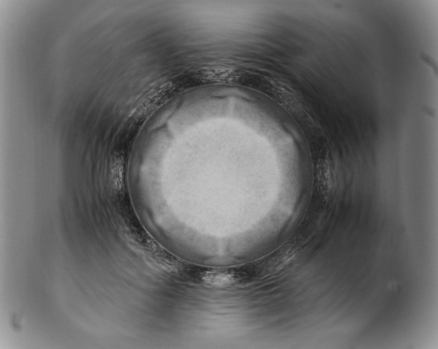 X0000100760602200807101729