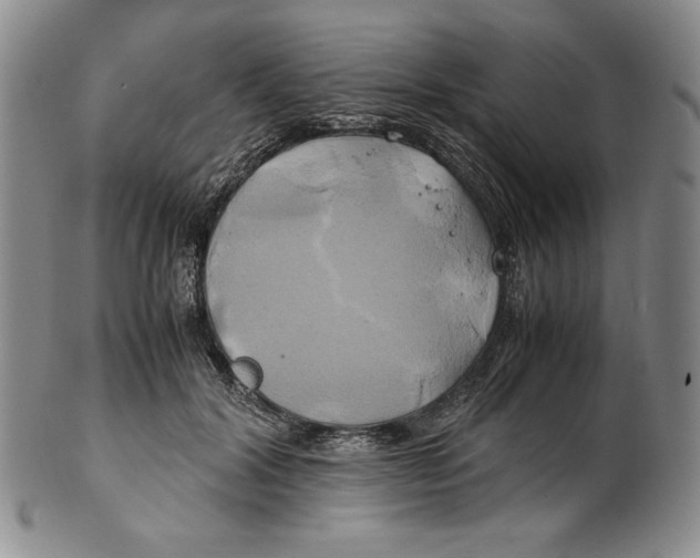 X0000100760604200807101729