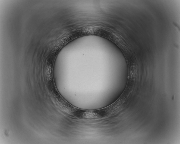 X0000100760605200807101729