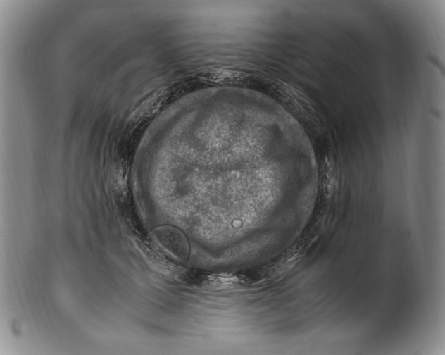 X0000100760607200807101729