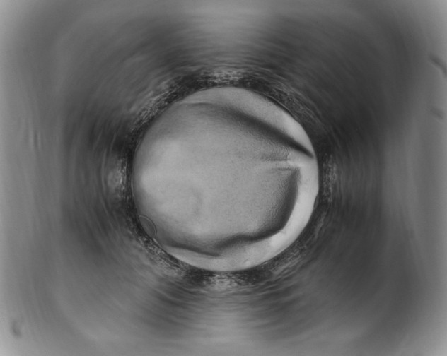 X0000100760608200807101729