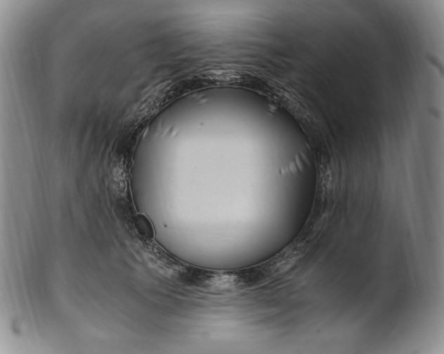 X0000100760609200807101729