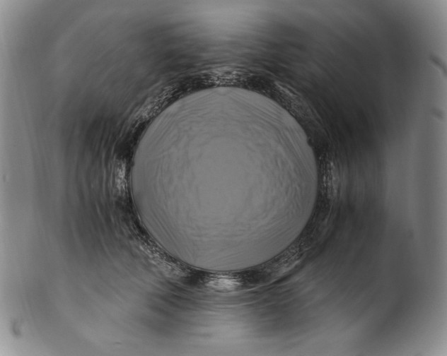 X0000100760610200807101729