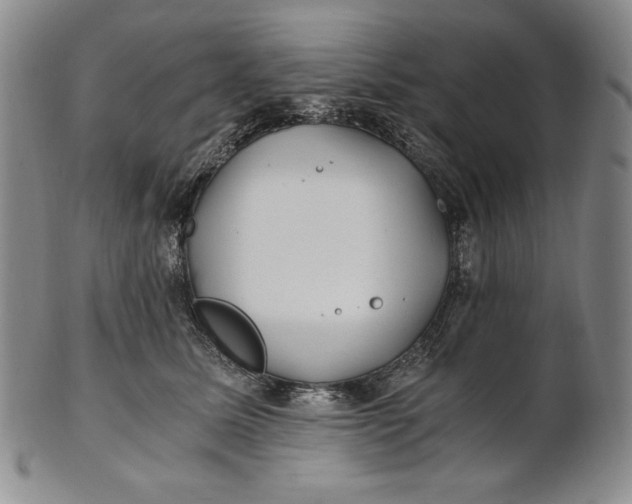 X0000100760611200807101729