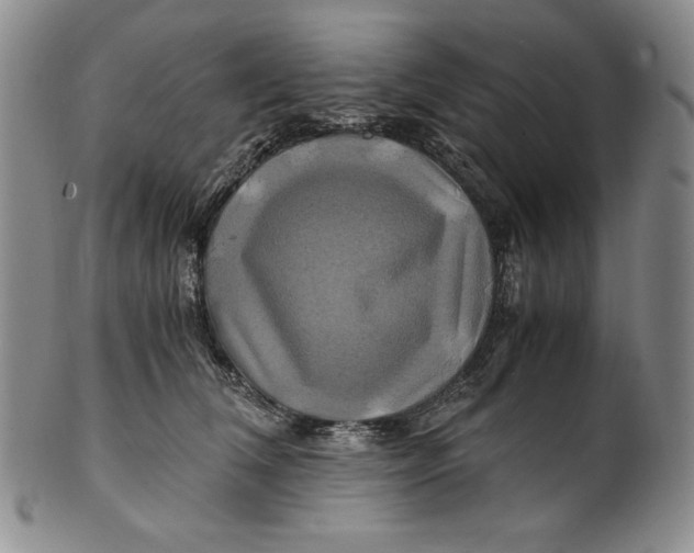 X0000100760612200807101729