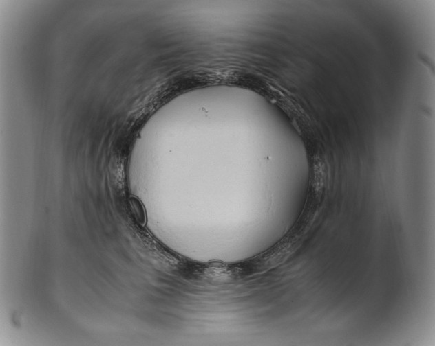 X0000100760613200807101729