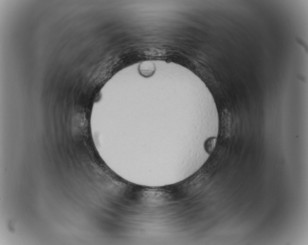 X0000100760614200807101729