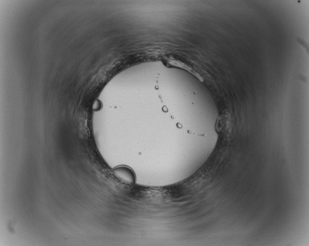 X0000100760615200807101729