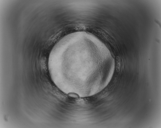 X0000100760616200807101729