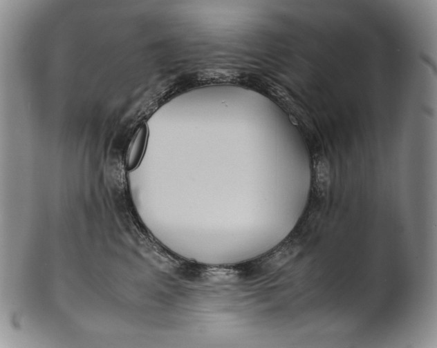 X0000100760617200807101729