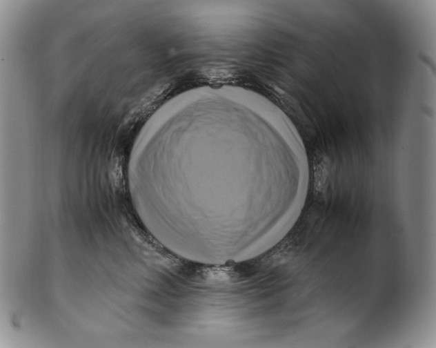 X0000100760618200807101729