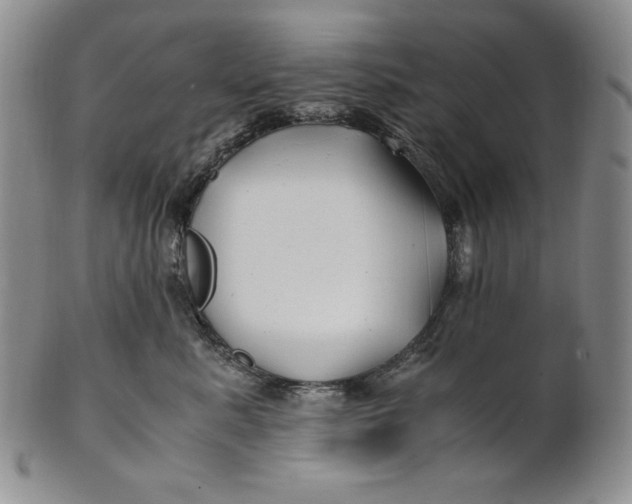 X0000100760619200807101729