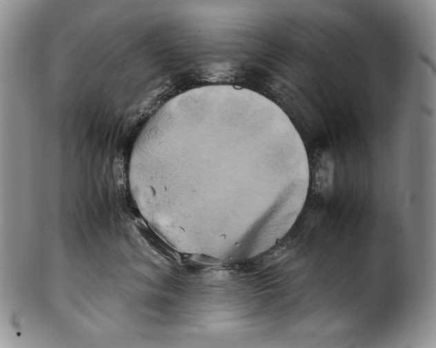 X0000100760620200807101729