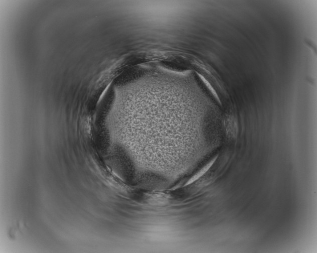 X0000100760621200807101729