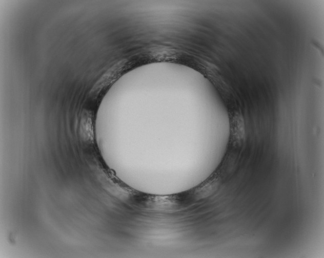 X0000100760622200807101729