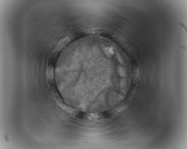 X0000100760623200807101729