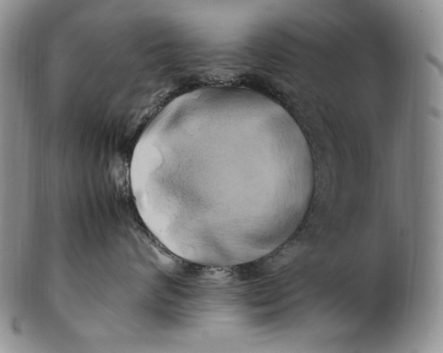 X0000100760624200807101729