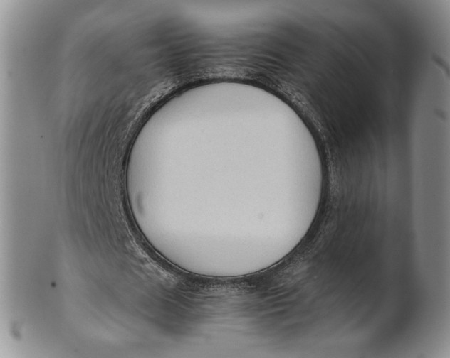 X0000100760625200807101728