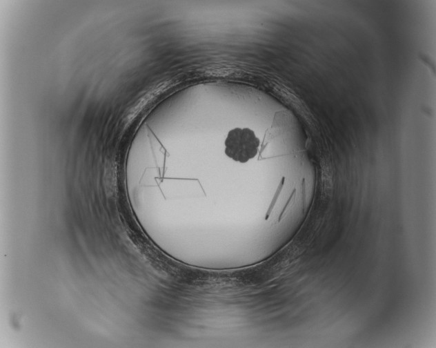 X0000100760626200807101728