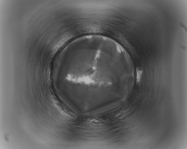 X0000100760627200807101728