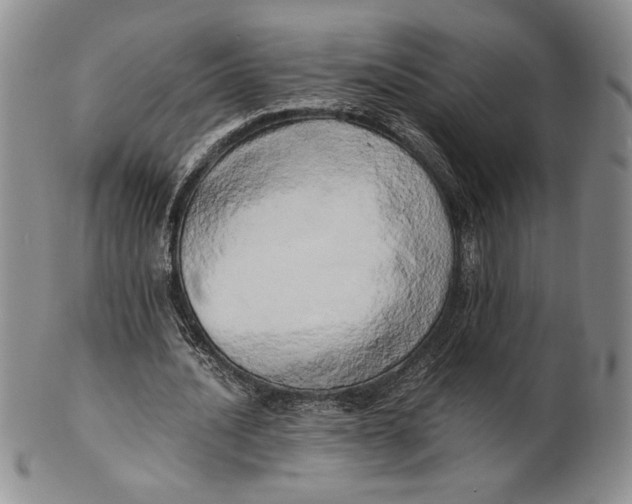 X0000100760628200807101728