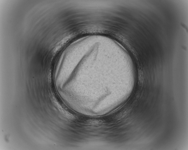X0000100760629200807101728
