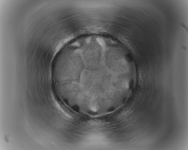 X0000100760630200807101728