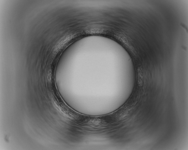 X0000100760631200807101728