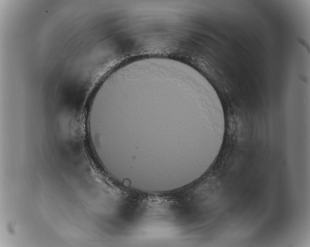 X0000100760632200807101728