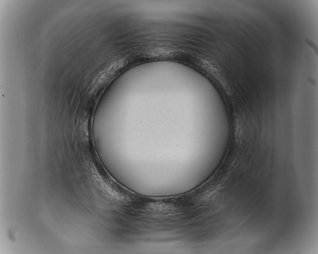 X0000100760633200807101728