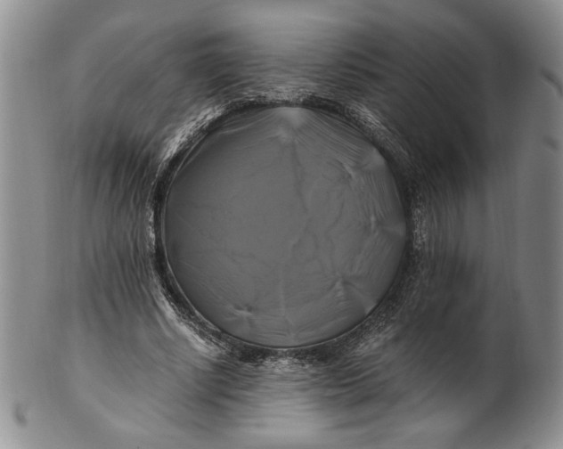 X0000100760634200807101728