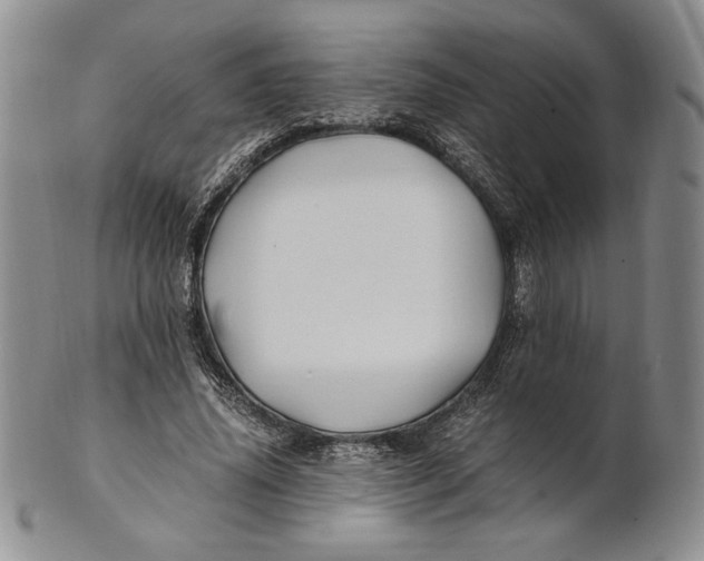 X0000100760636200807101728