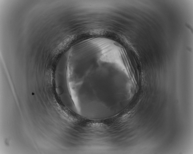 X0000100760637200807101728