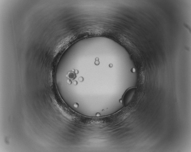 X0000100760638200807101728