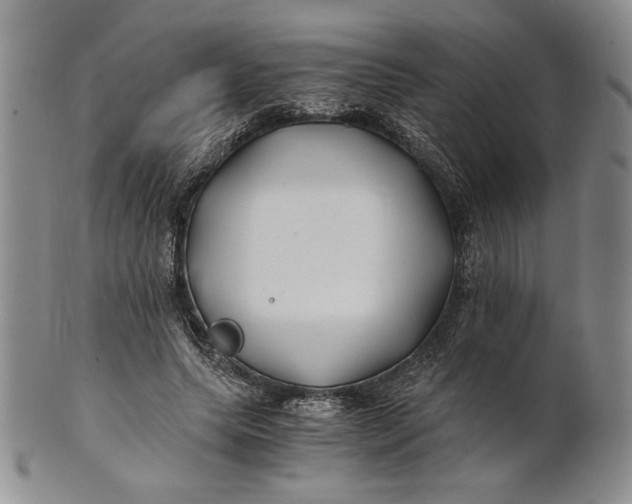 X0000100760639200807101728
