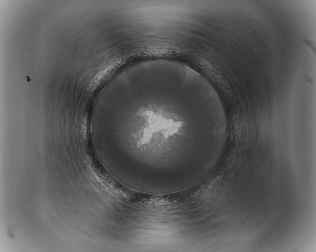 X0000100760640200807101728