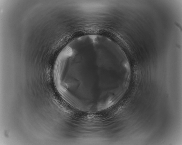 X0000100760641200807101728