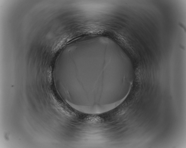 X0000100760642200807101728