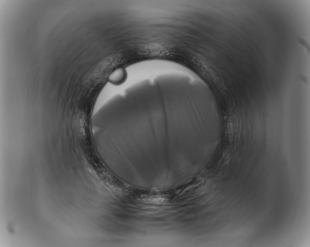 X0000100760643200807101728