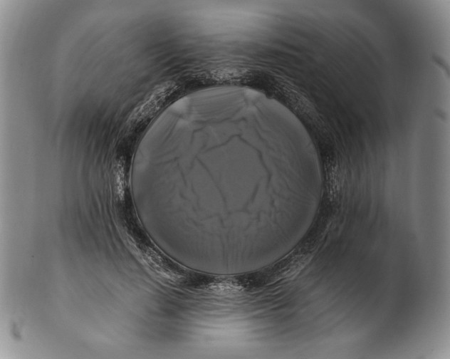 X0000100760644200807101729