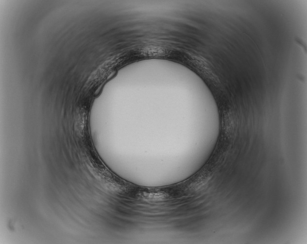 X0000100760645200807101729