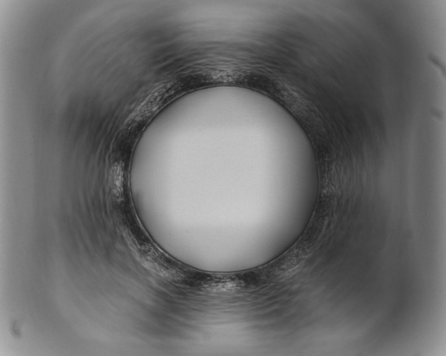 X0000100760646200807101729