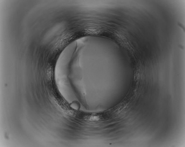 X0000100760647200807101729